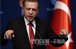 Tổng thống Thổ Nhĩ Kỳ khuyến cáo nguy cơ tái diễn đảo chính