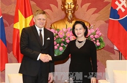 Thủ tướng Slovakia chào xã giao Chủ tịch Quốc hội Nguyễn Thị Kim Ngân