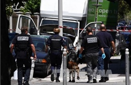 Chưa thấy mối liên hệ giữa IS với sát thủ xe tải ở Nice