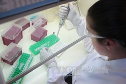 Công bố vaccine phòng chống HIV mới