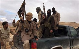 Al-Qaeda hành quyết 14 người thuộc lực lượng chính phủ Syria