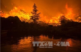 Hàng trăm người sơ tán vì cháy rừng lan rộng tại California