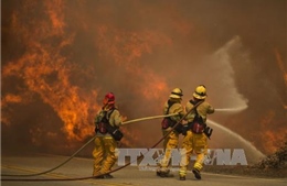 Cư dân California và động vật quý "chạy" cháy rừng
