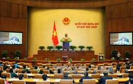 Dự kiến 27 thành viên Chính phủ nhiệm kỳ Quốc hội khóa XIV 