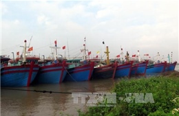 Thuyền về kín bến Nam Định, Quảng Ninh tránh bão