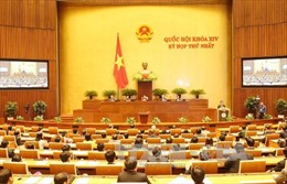 Trình Quốc hội phê chuẩn bổ nhiệm các thành viên Chính phủ