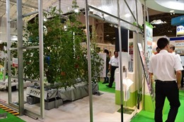 Triển lãm nhà kính và trồng trọt Nhật Bản thu hút doanh nghiệp 
