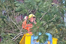 90 cột điện tại Hà Nội gãy đổ vì bão số 1