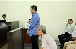 Nguyên giám đốc ALC II Chi nhánh Nam Sài Gòn lĩnh 3 năm tù