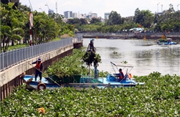 Cần cứu sông Sài Gòn trước khi quá muộn