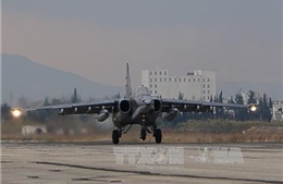 Máy bay NATO tham gia bắn hạ Su-24 Nga ở Syria 