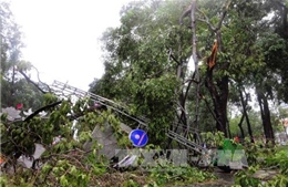 Giông lốc, sét đánh ở Lào Cai: 5 người thương vong 