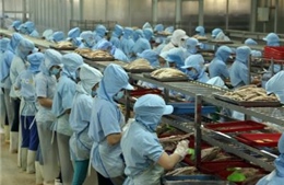 Phát động cuộc thi Báo chí viết về doanh nghiệp, doanh nhân