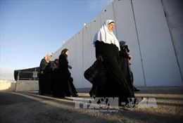 Israel xây rào bê tông ngầm bao vây Dải Gaza