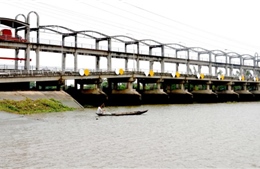 Thiếu vốn, dự án ngọt hóa sông Ba Lai trở thành ... mặn quá
