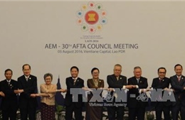 Việt Nam đóng góp quan trọng vào quá trình phát triển của ASEAN