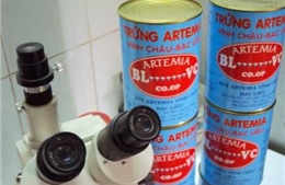 Giảm thuế nhập trứng Artemia để khuyến khích sản xuất