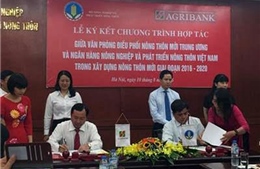 Agribank chung tay xây dựng nông thôn mới  