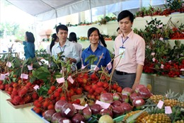 Rau quả Việt dần chinh phục  thị trường khó tính
