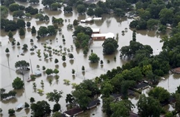 Mưa lũ ngập trắng Louisiana, Mỹ ban bố tình trạng thảm hoạ