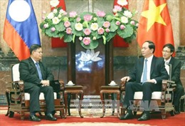 Chủ tịch nước Trần Đại Quang tiếp Phó Chủ tịch Quốc hội Lào