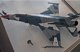 Tiêm kích F-16 Mỹ được sơn lại mô phỏng Su-35 Nga