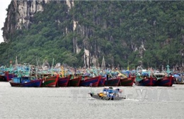 Ưu tiên trong ứng phó bão là an toàn tính mạng người dân