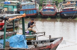 Đảm bảo an toàn cho các tuyến đê trước bão số 3