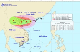 Thủ tướng yêu cầu tập trung chỉ đạo ứng phó với bão số 3
