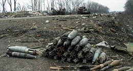 Vũ khí hạng nặng xuất hiện tại Đông Ukraine