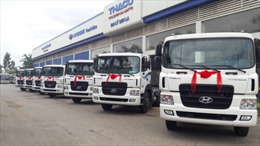 Xe tải nặng/đầu kéo Thaco Huyndai – chất lượng toàn cầu