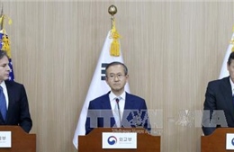 Ngoại trưởng Nhật-Trung-Hàn chuẩn bị họp