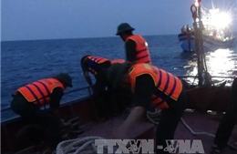 Bến Tre: Một thuyền viên tử vong do ngộ độc cá nóc