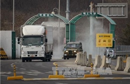 Triều Tiên đặt mìn gần biên giới ngăn binh sĩ đào tẩu sang Hàn