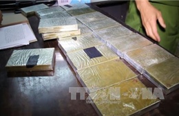 Hai án tử hình trong vụ buôn bán 213 bánh heroin