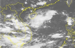 Công điện về đối phó áp thấp nhiệt đới trên Biển Đông