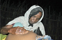 Những bà đỡ “mát tay” tại Kenya 