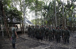 Chính phủ Colombia và FARC đạt thỏa thuận hòa bình lịch sử