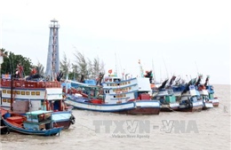 Kêu gọi cứu hộ khẩn cấp 2 tàu cá Bình Định bị nạn trên biển
