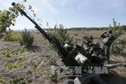 Nhóm Tiếp xúc về Ukraine nhất trí ngừng bắn tại Donbass