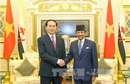 Tuyên bố chung Việt Nam - Brunei Darussalam 