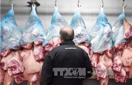 Nga có thể bán thịt lợn cho Việt Nam từ 2017