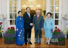 Chủ tịch nước Trần Đại Quang hội đàm với Tổng thống Singapore 