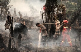 Indonesia tuyên bố tình trạng khẩn cấp do cháy rừng 