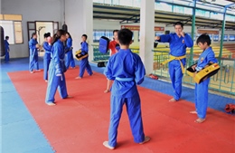 Bước phát triển của võ Vovinam