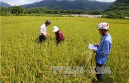 Phê duyệt chủ trương đầu tư 21 Chương trình mục tiêu