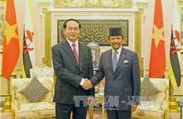 Việt Nam và Brunei, Singapore thúc đẩy triển khai các thỏa thuận 