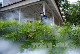Malaysia thông báo ca đầu tiên nhiễm virus Zika trong nước 