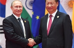 Chủ tịch Trung Quốc hội đàm với các nhà lãnh đạo Nga, Ấn Độ và Mexico 