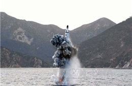 Nhật, Hàn, Mỹ phản ứng sau vụ Triều Tiên phóng tên lửa